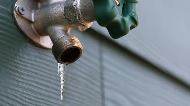 Best Plumbing Repair Near Me  in South Gull Lake, MI